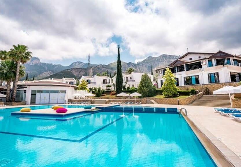 The Olive Tree Hotel Agios Epiktitos Bagian luar foto