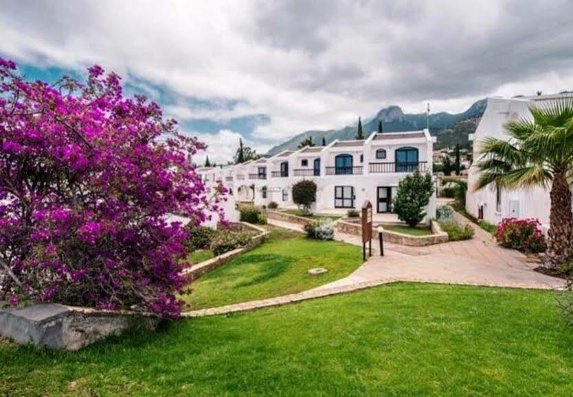 The Olive Tree Hotel Agios Epiktitos Bagian luar foto