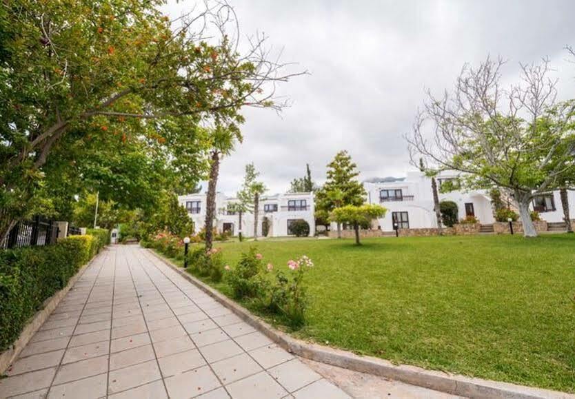 The Olive Tree Hotel Agios Epiktitos Bagian luar foto