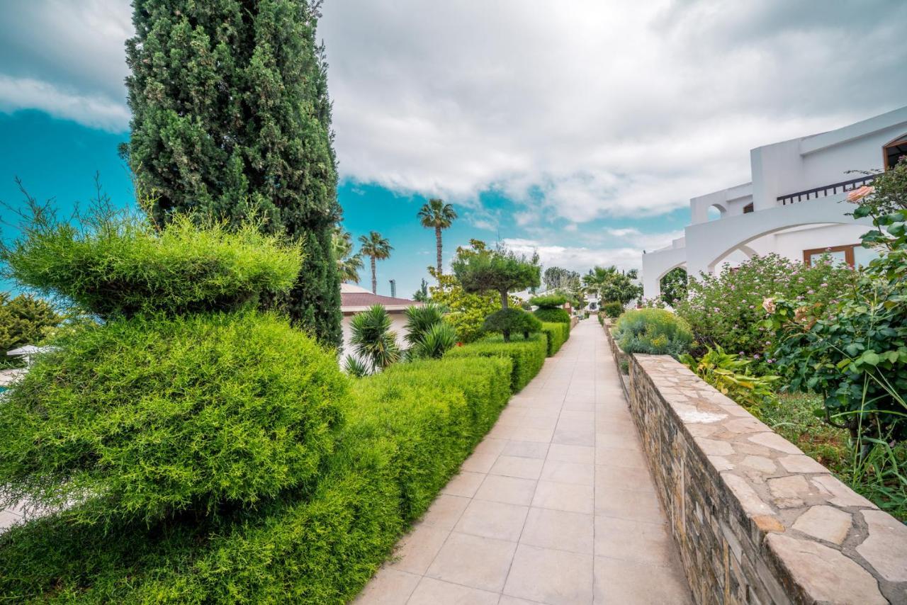 The Olive Tree Hotel Agios Epiktitos Bagian luar foto
