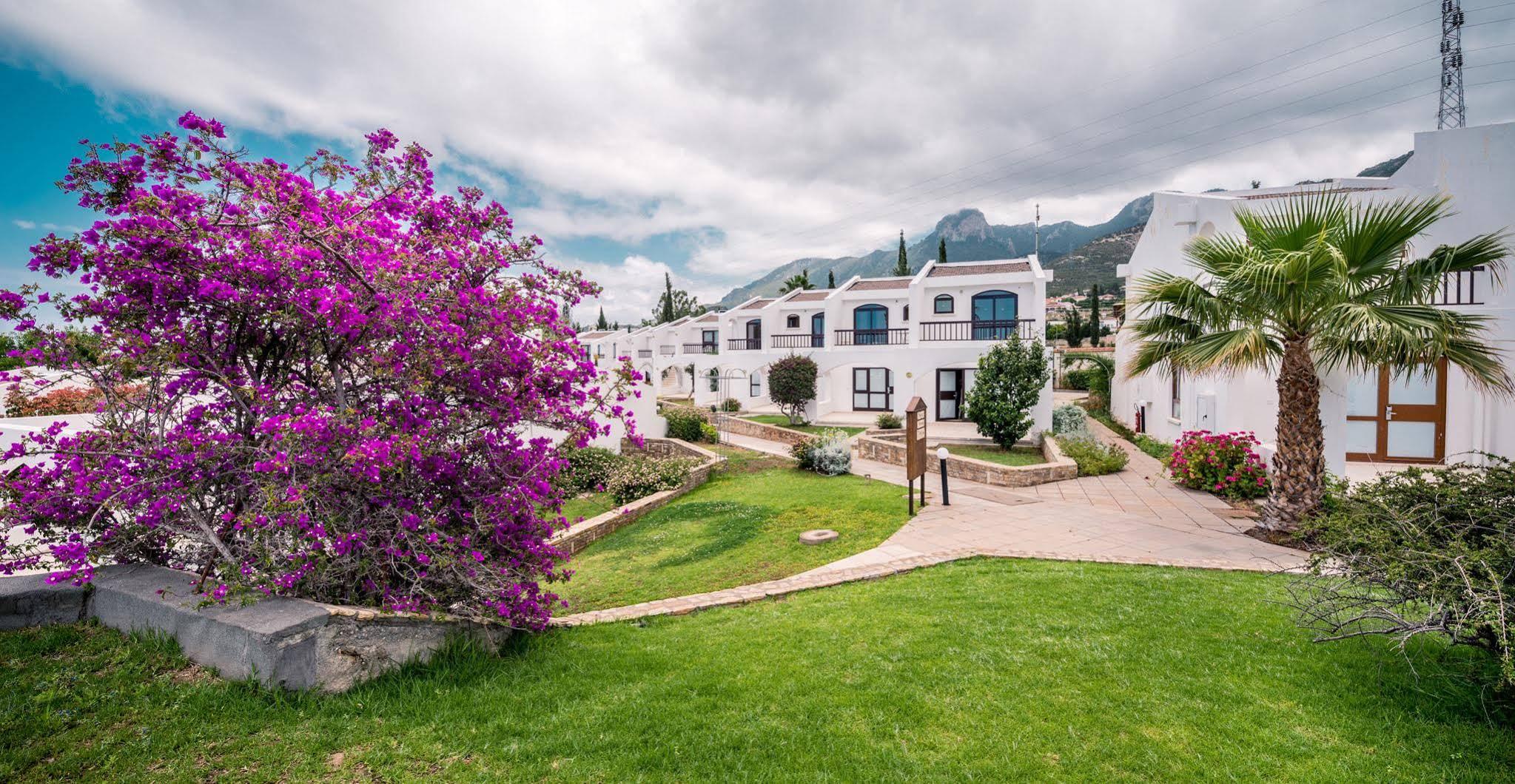 The Olive Tree Hotel Agios Epiktitos Bagian luar foto