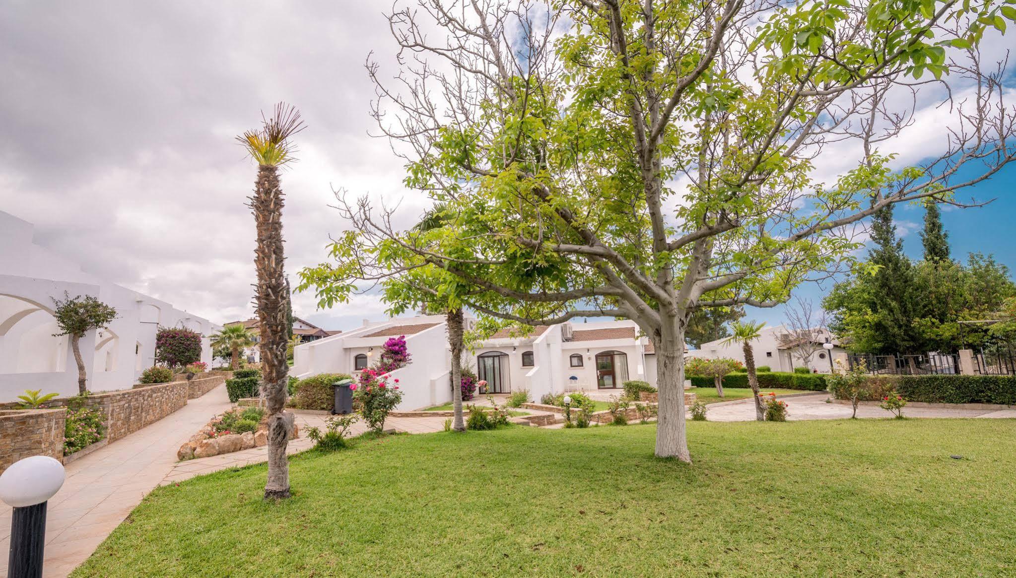 The Olive Tree Hotel Agios Epiktitos Bagian luar foto